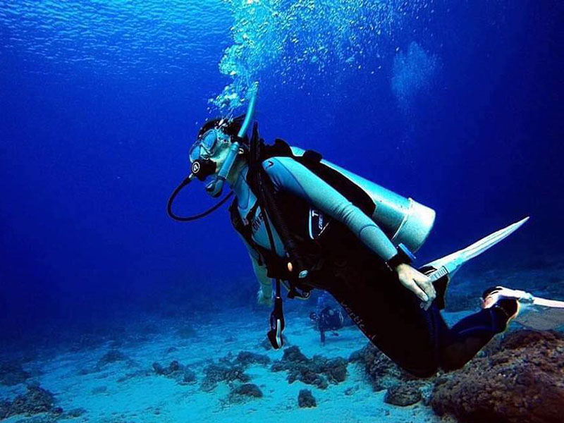 綠島潛水推薦｜一對一專業帶領！新手也能悠遊探索海底世界