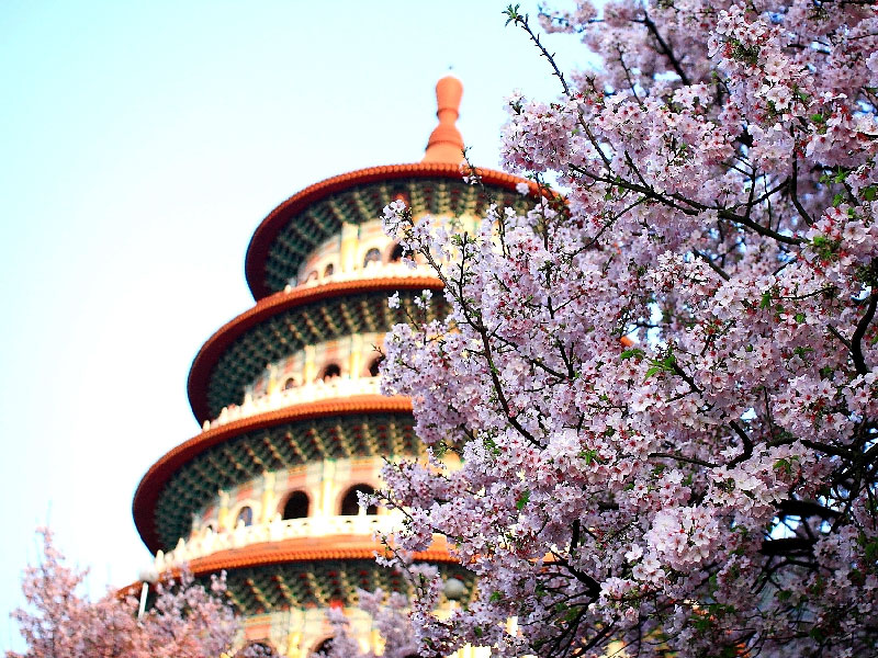 淡水景點推薦 搭輕軌玩淡水 老街 賞櫻 美食通通有 Sharelife 台灣旅行趣