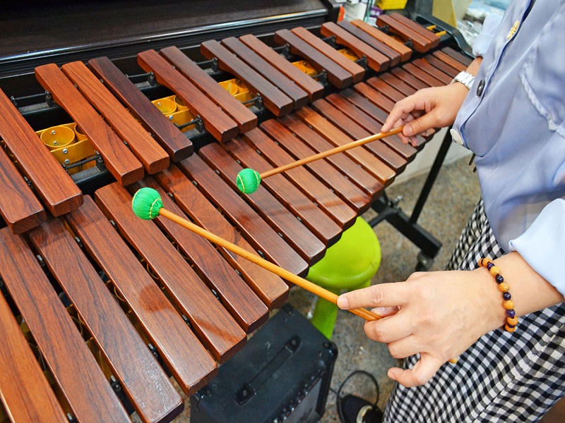 第一次學音樂就上手!弦樂社一對一教學,氣質提升無法擋