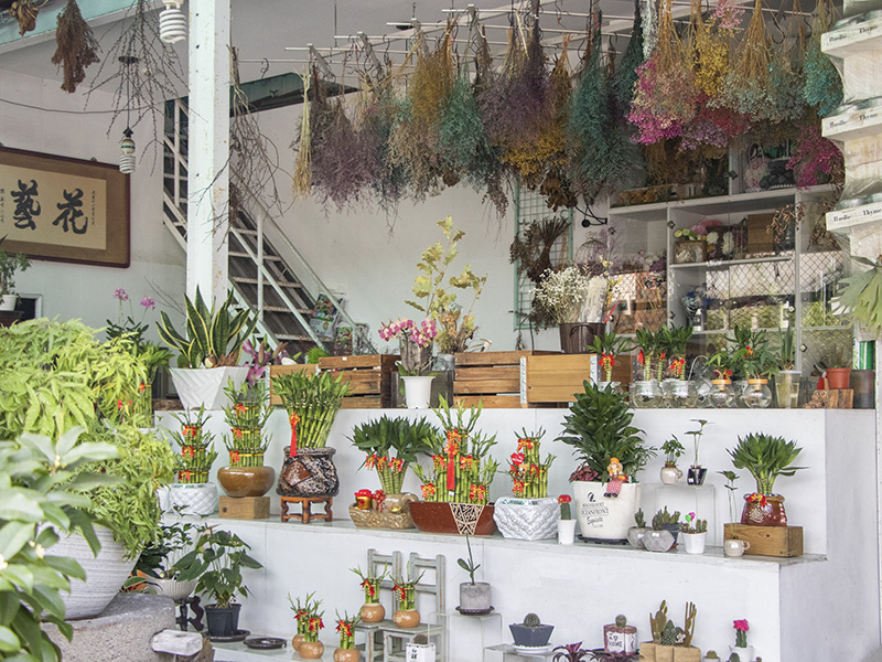 綠意小確幸 草屯花藝引領新創風格 不只賣花也販售幸福溫度 Sharelife 台灣旅行趣