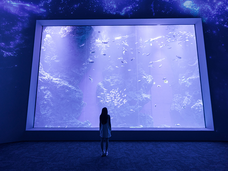 10月壽星免費玩台中海洋館！整月不限平假日「現省500元」！