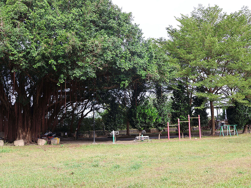 跨世代休憩新去處！土庫長青公園全面升級多功能遊樂空間