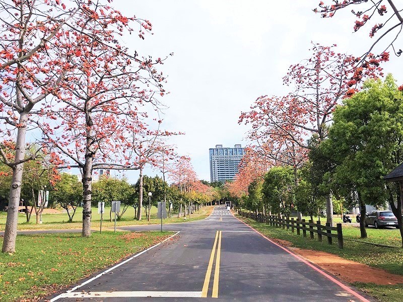 紅花發威 台中這處也能漫步木棉道 Sharelife 台灣旅行趣