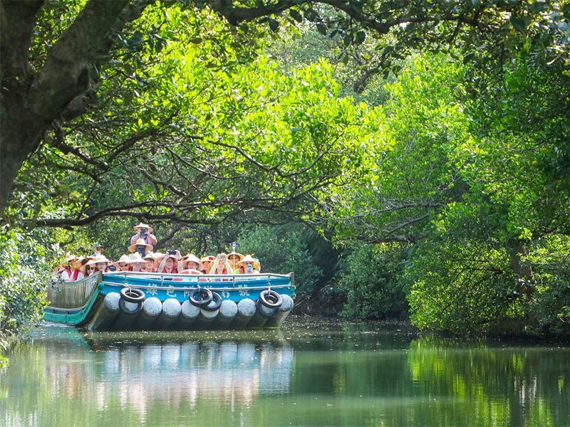 到台南玩樂 台江國家公園一日遊 門票交通 必去景點 美食情報 Sharelife 台灣旅行趣