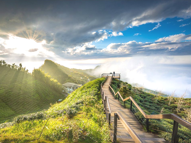 眺望中部五縣市 走進雲海中的 大崙山觀景步道 Sharelife 台灣旅行趣