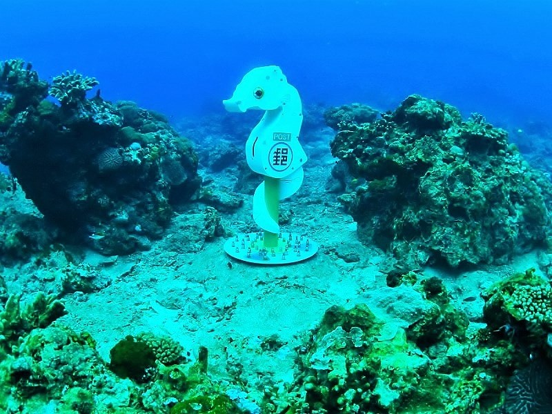 全球最深 台灣首座海底郵筒綠島潛水新景點 Sharelife 台灣旅行趣