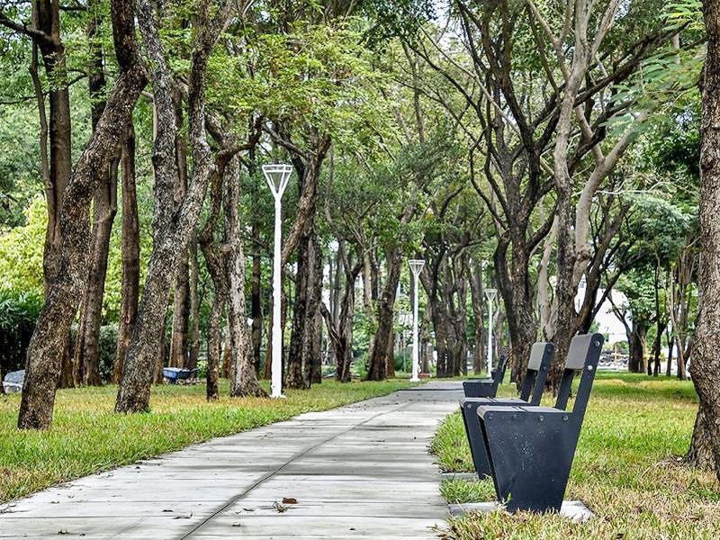 漫步濕地 高雄 城市版忘憂森林 再開幕 Sharelife 台灣旅行趣