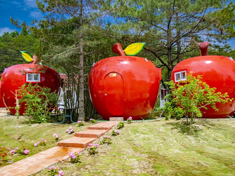 住進 巨型蘋果 讓滿天繁星伴你入眠 超夯露營居然千元有找 Sharelife 台灣旅行趣