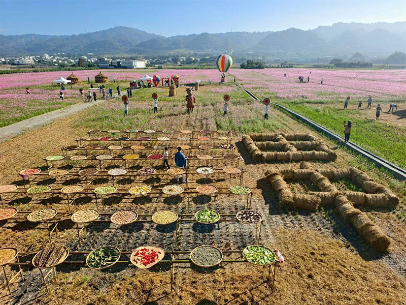 冬藏花開稻草藝術佈滿田田中望高瞭化身童趣花海世界！:ShareLife 台灣