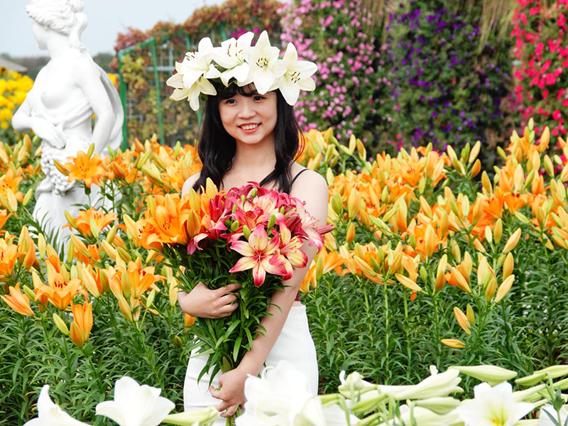 銅板價賞花趣 中社花市百合花季開跑 月底前台中市民享半價 Sharelife 台灣旅行趣