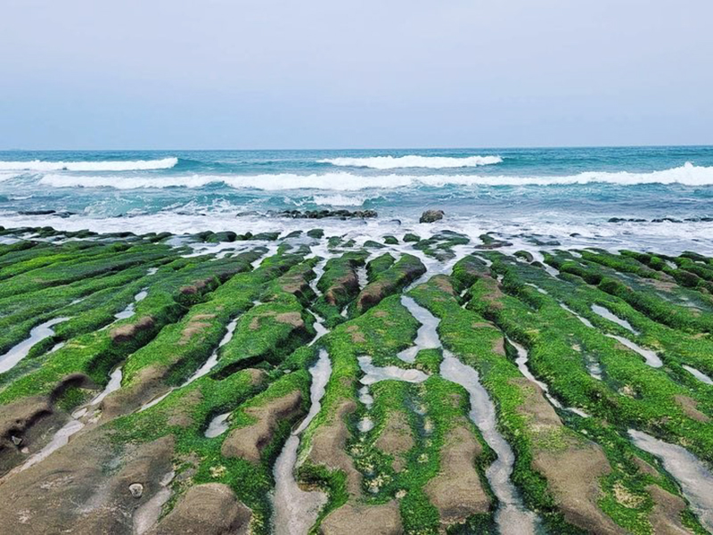 抹茶地毯 提前轉綠 老梅綠石槽2公里美景現身北海岸 Sharelife 台灣旅行趣