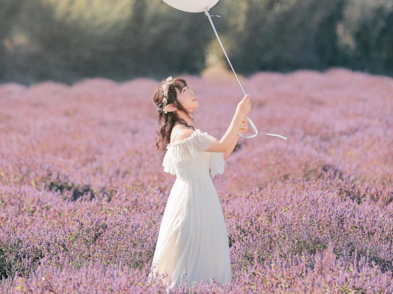 夢幻紫色花海宛若台版普羅旺斯 21桃園仙草花節美翻天 Sharelife 台灣旅行趣 夢幻紫色花海宛若台版普羅旺斯 21桃園仙草花節美翻天 Sharelife 台灣旅行趣